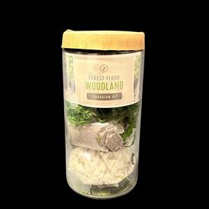 Modern Sprout Forest Floor Woodland Terrarium Kit Sedum & Moss DIY Glass Jar